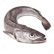 Frozen Panla (Hake Fish)